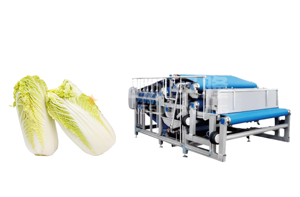 白菜带式榨汁机